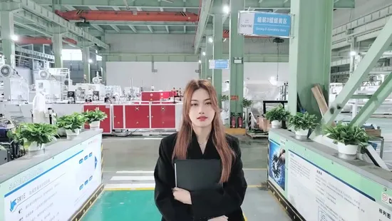 Fully Automatic High Speed Side Sealing PE OPP Wicket Bag Bread Punch Bag Making Machine