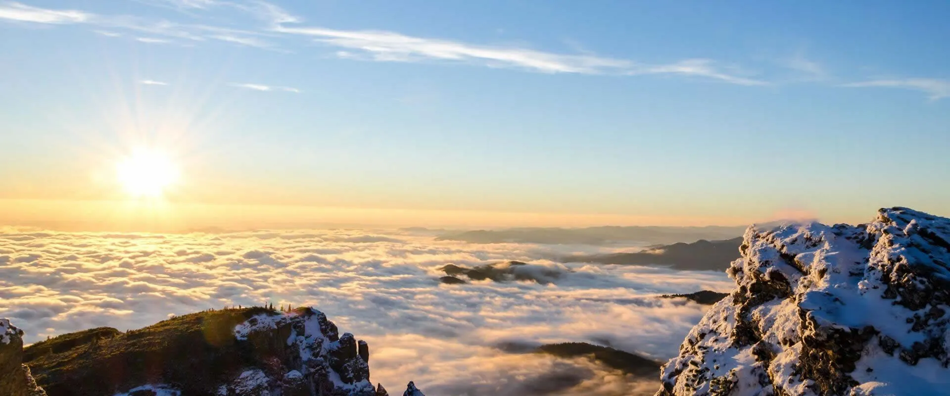 Boasting modern processing equipment